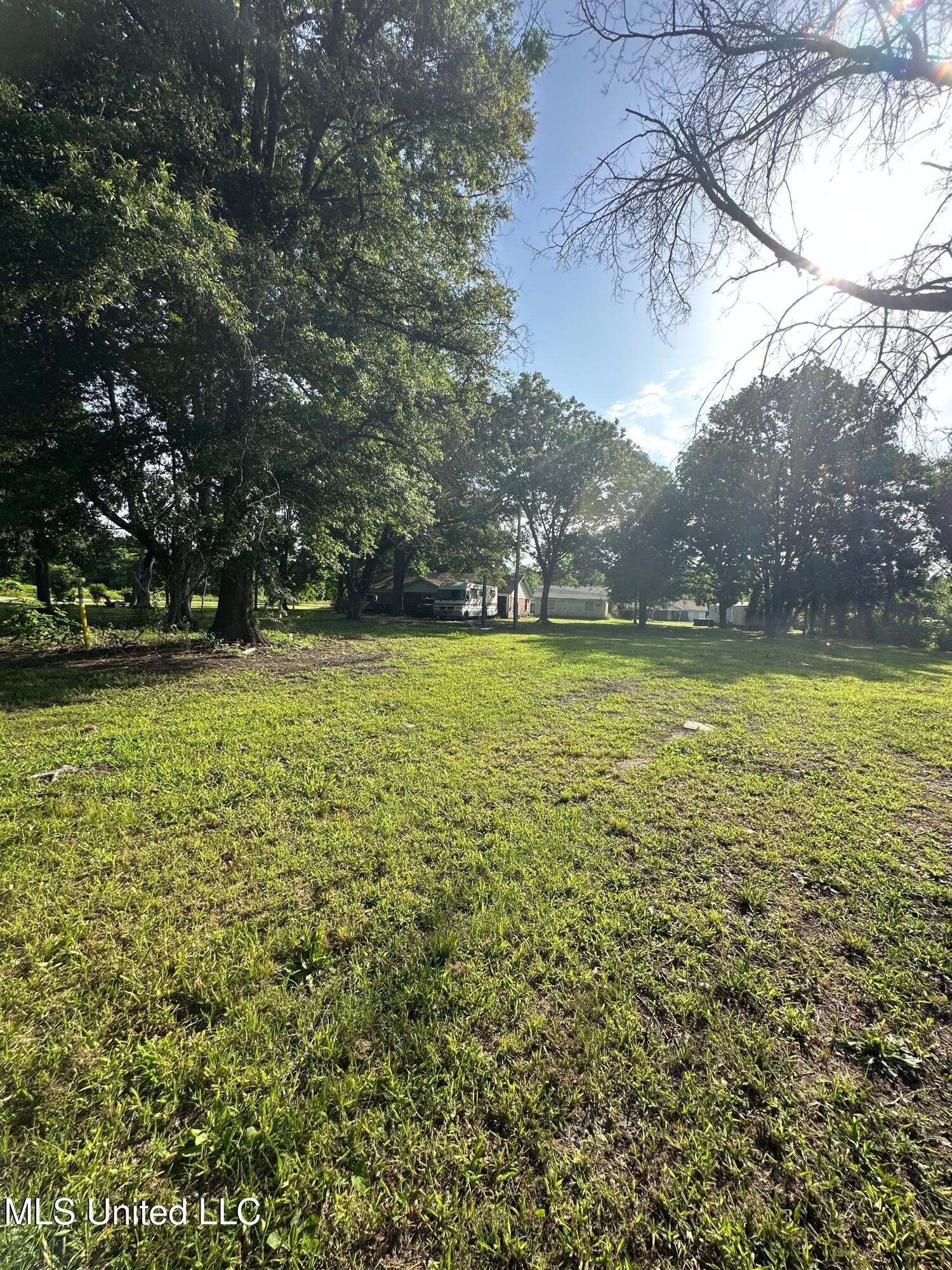 Windmill Road Road, Greenville, Mississippi image 13