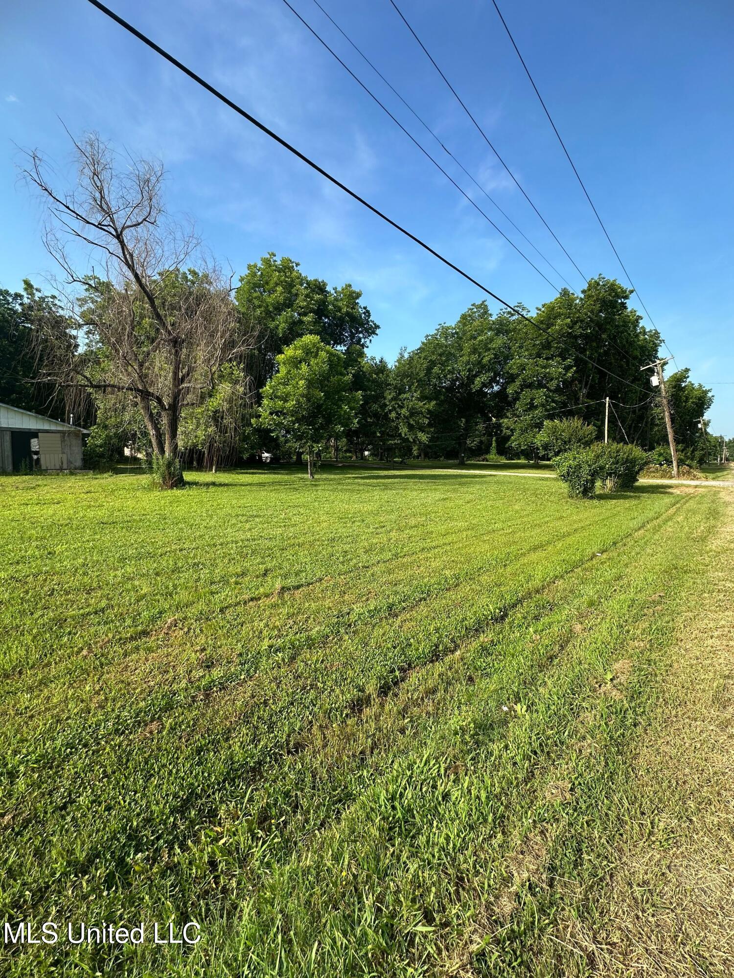 Windmill Road Road, Greenville, Mississippi image 11