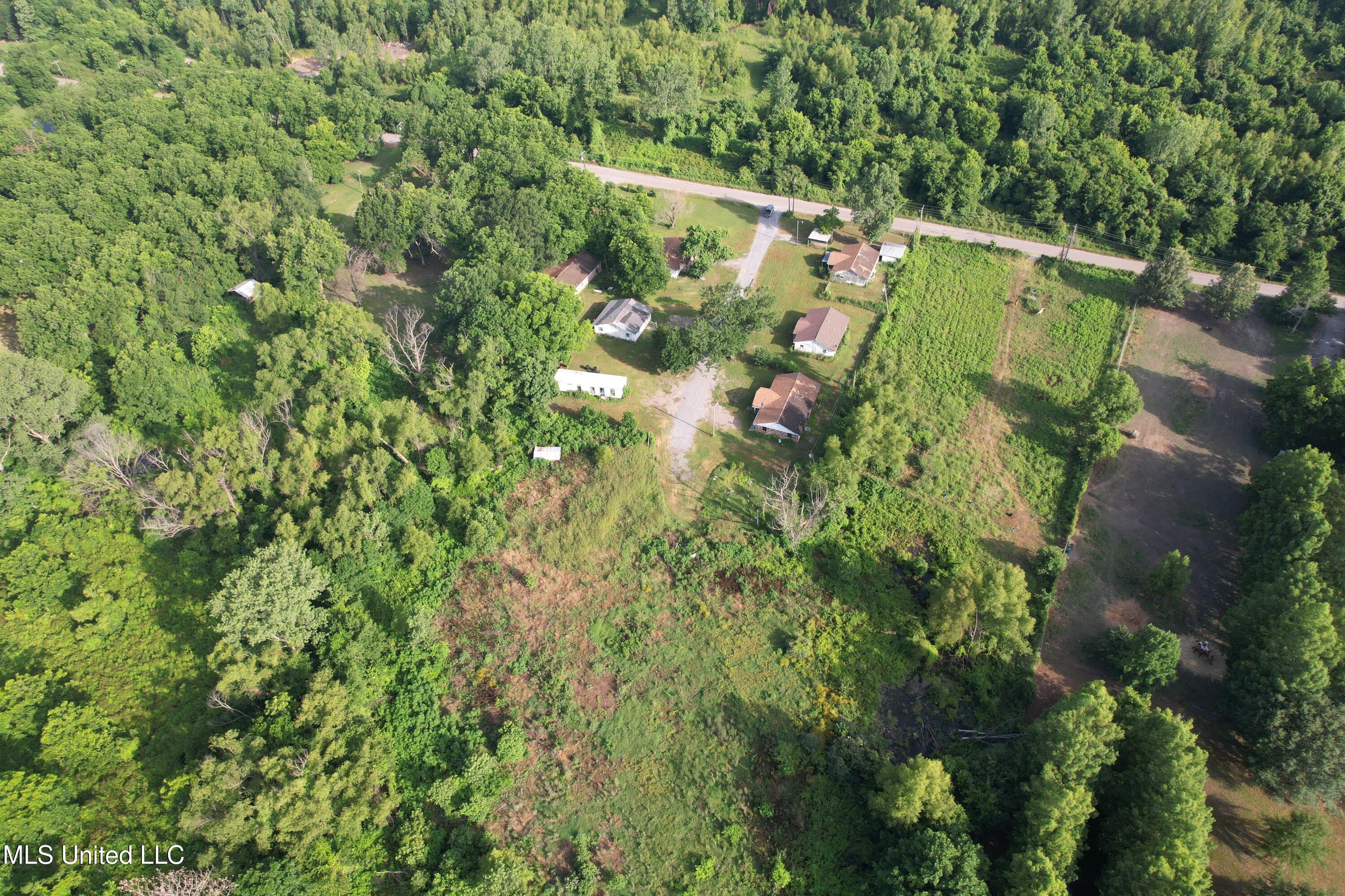 Windmill Road Road, Greenville, Mississippi image 3
