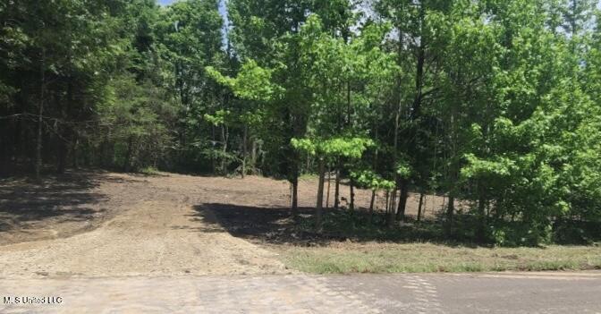 33 Shamrock Loop, Byhalia, Mississippi image 4