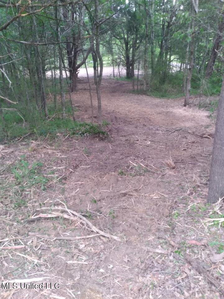33 Shamrock Loop, Byhalia, Mississippi image 5