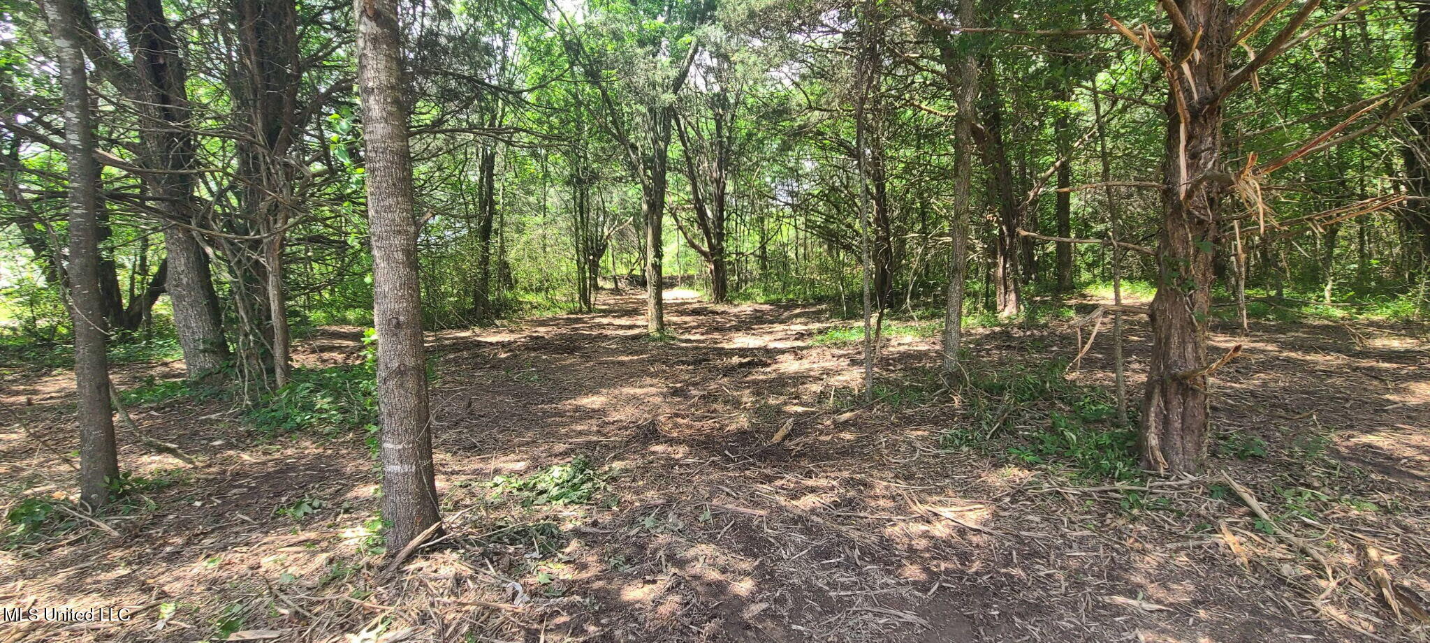 33 Shamrock Loop, Byhalia, Mississippi image 7