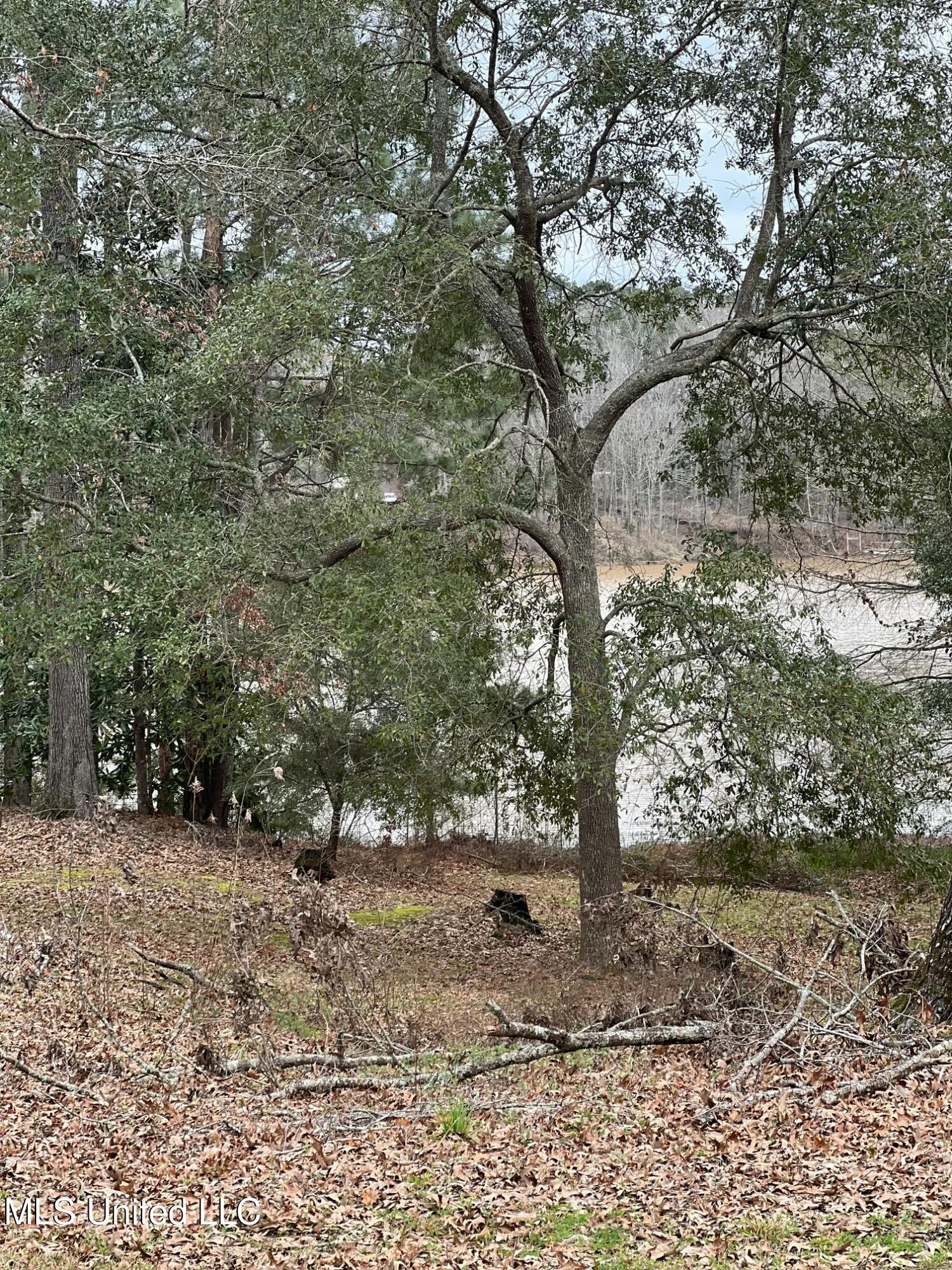 83 Black Bear Road, Natchez, Mississippi image 2