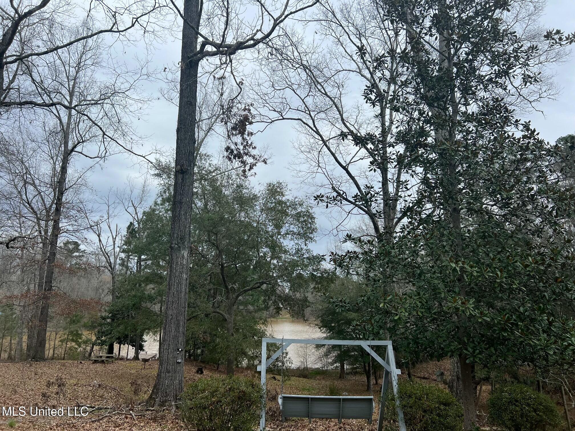 83 Black Bear Road, Natchez, Mississippi image 6