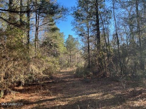 Vacant Land For Sale - 1059 Candy Lane<br/> Pike County, McComb, MS 39648