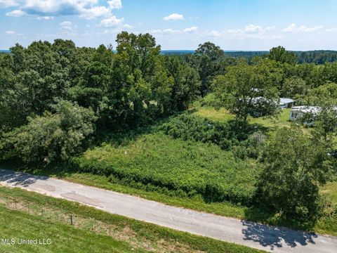 Vacant Land For Sale - County Road 299<br/> Jasper County, Louin, MS 39338