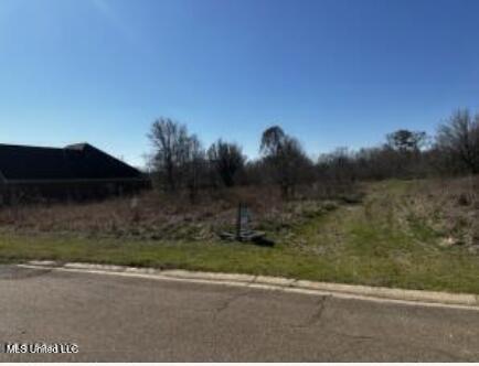 Crossbridge Boulevard, Byram, Mississippi image 2