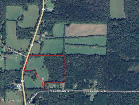 Vacant Land For Sale - 206 Clifton Hillsboro Rd. Road<br/> Lena, MS 39094
