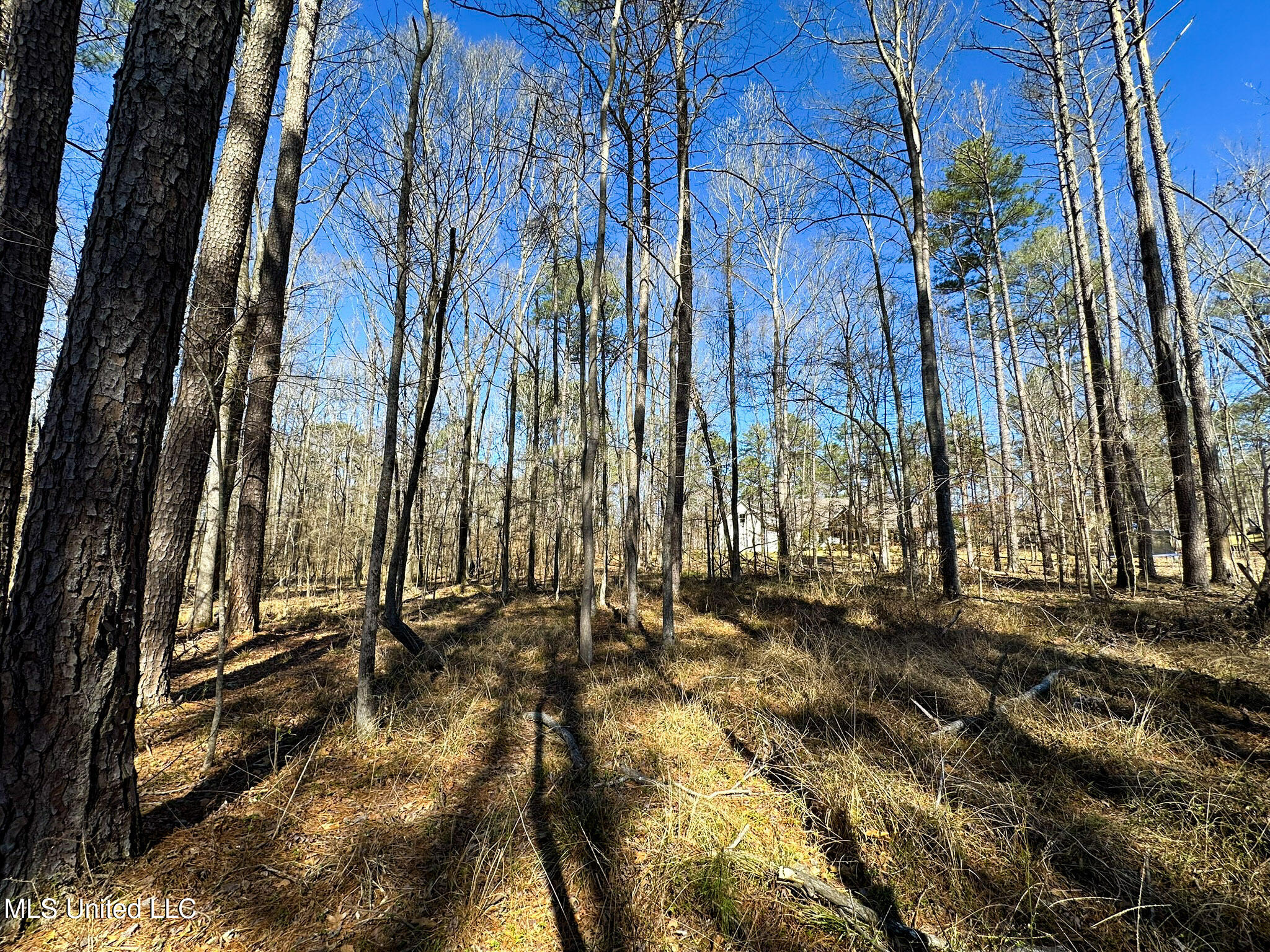 Brookhollow Court, Flowood, Mississippi image 7