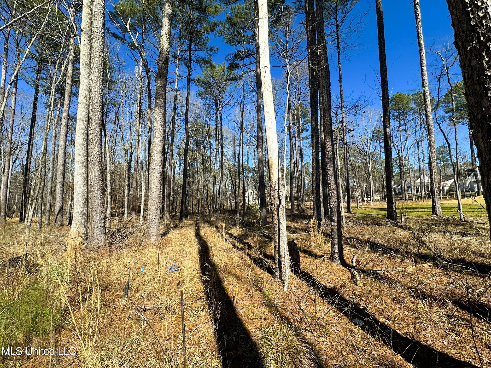 Brookhollow Court, Flowood, Mississippi image 8
