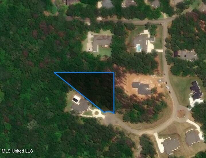 Brookhollow Court, Flowood, Mississippi image 2
