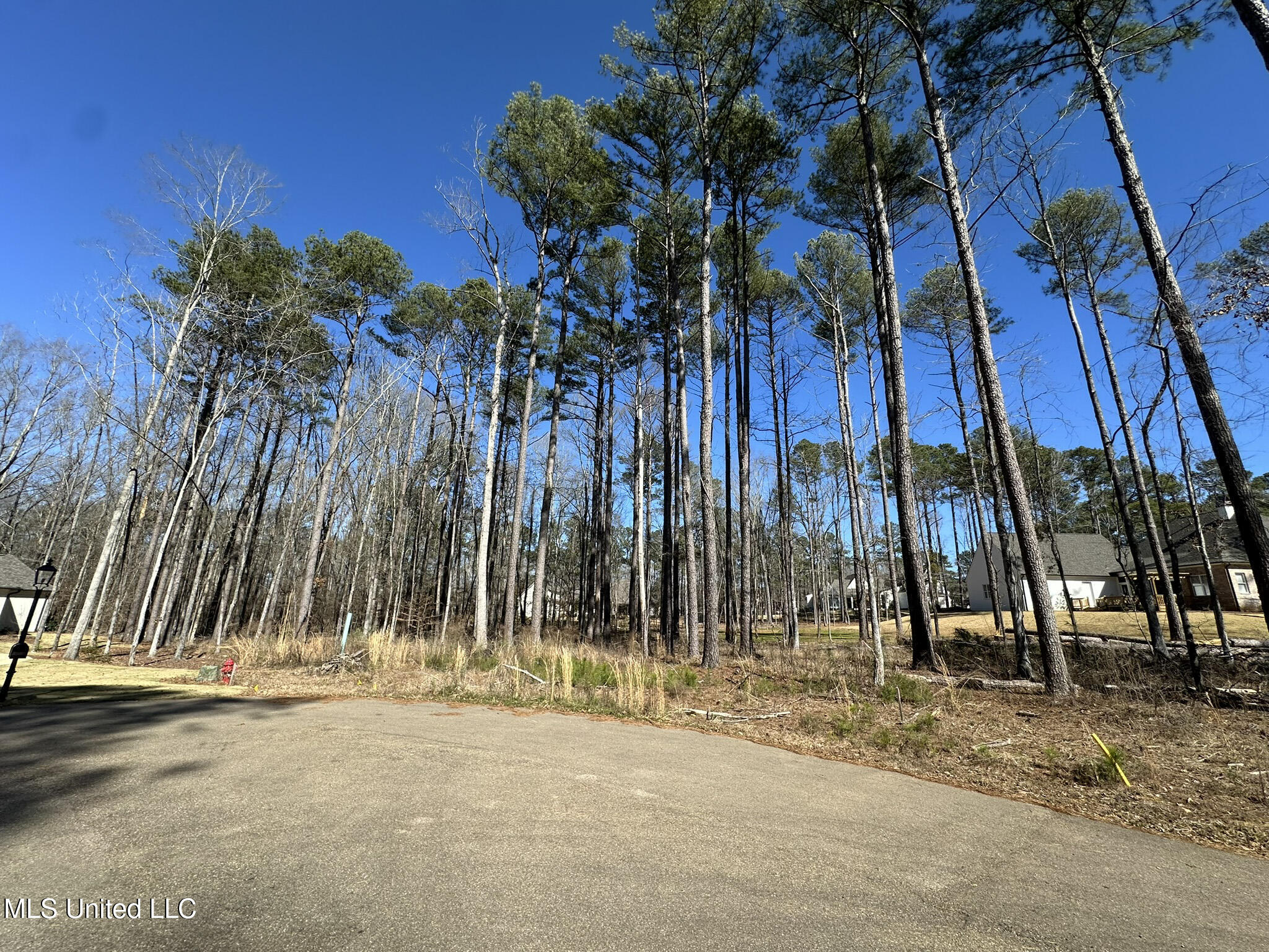 Brookhollow Court, Flowood, Mississippi image 5