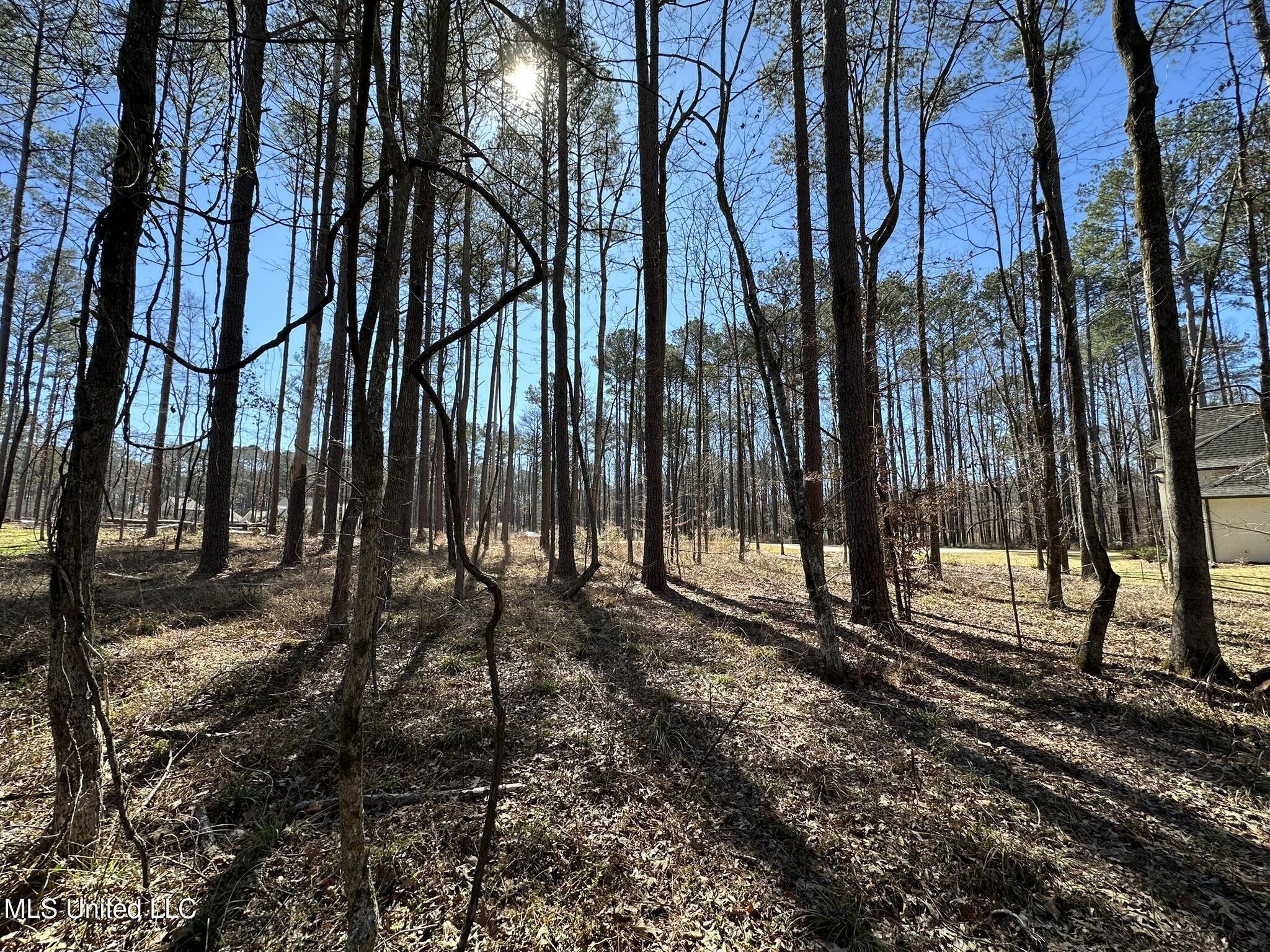 Brookhollow Court, Flowood, Mississippi image 6