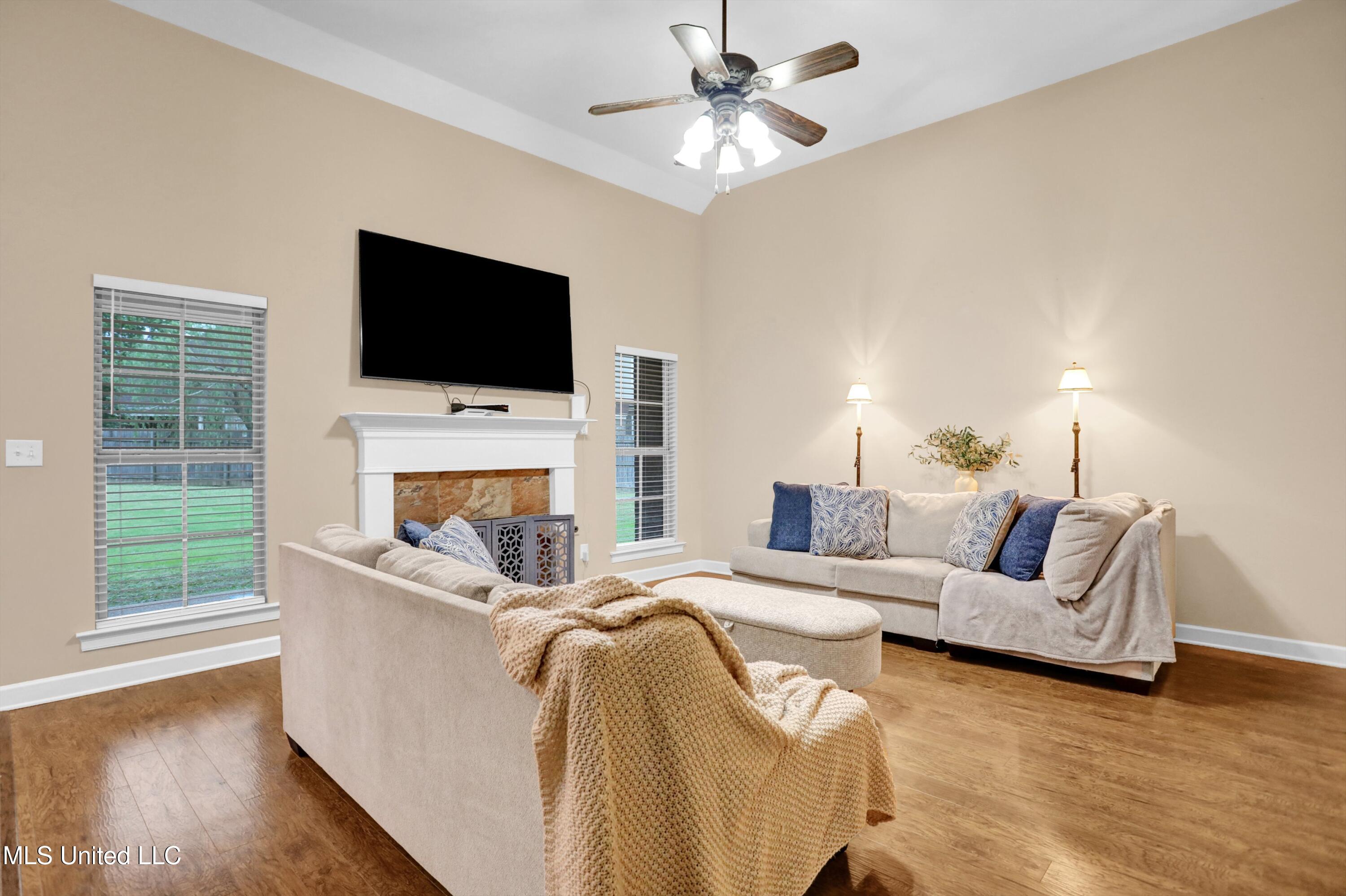 4813 Rosepetal Cove, Southaven, Mississippi image 7