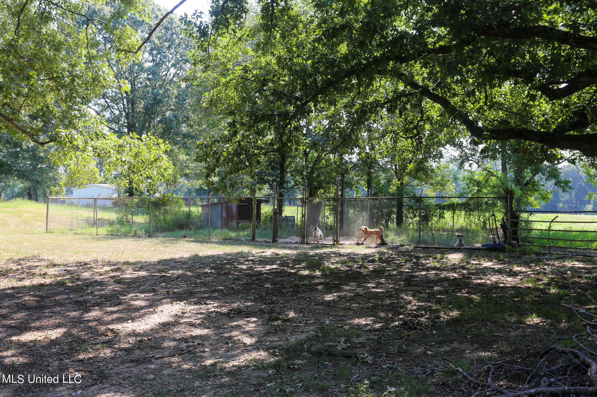 2800 Reedtown Road, Utica, Mississippi image 30