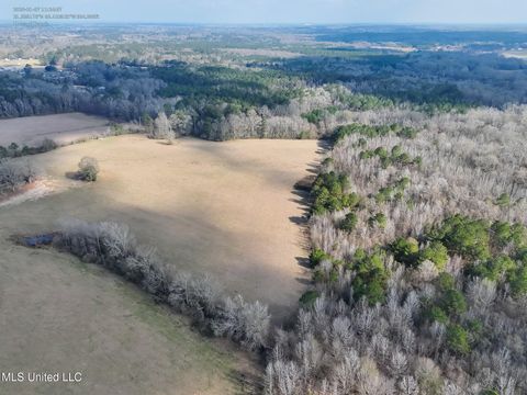 Vacant Land For Sale - XXX S Washington Ne Street<br/> Brookhaven, MS 39601