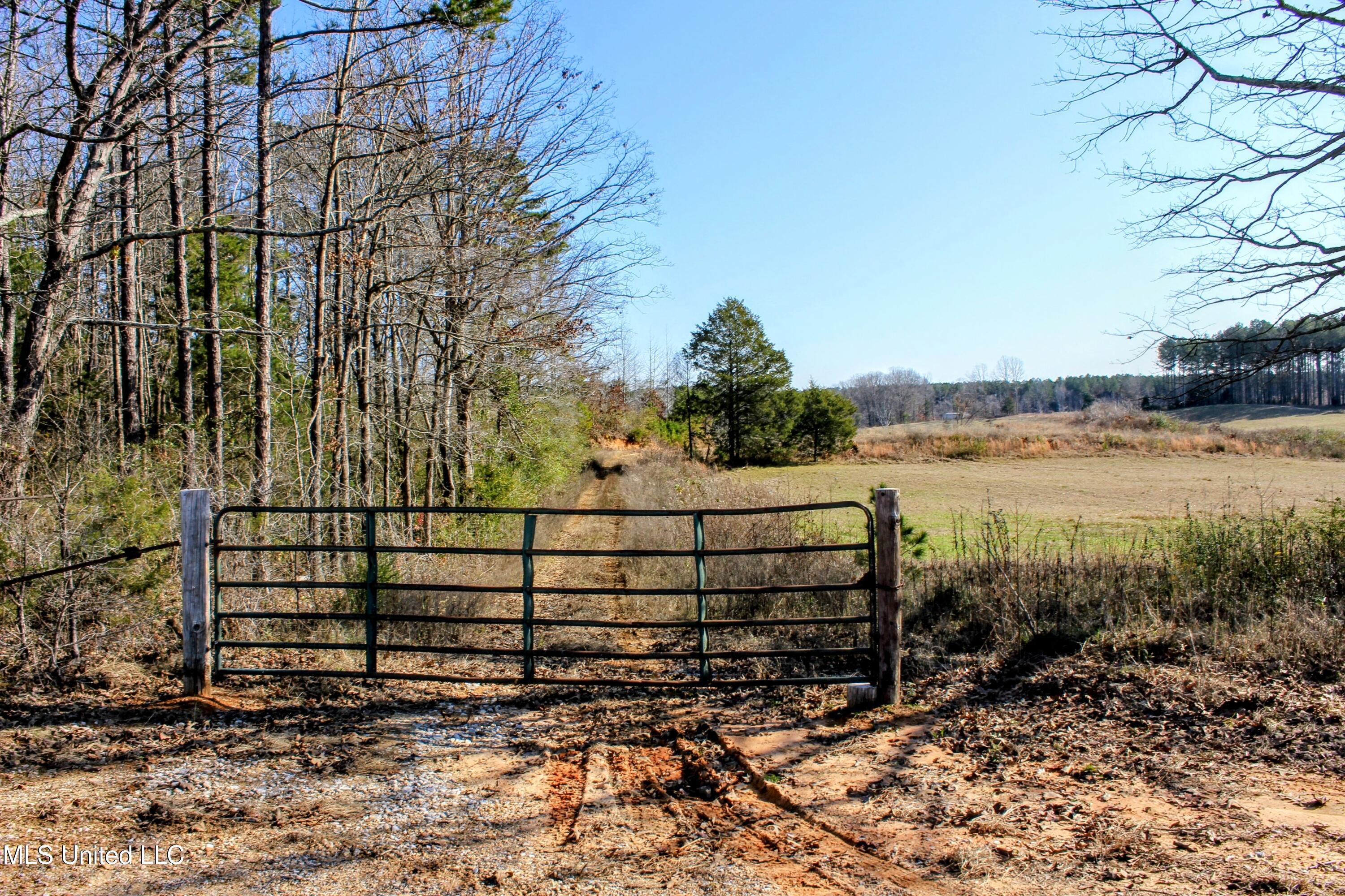 122 County Road 125, Bruce, Mississippi image 11