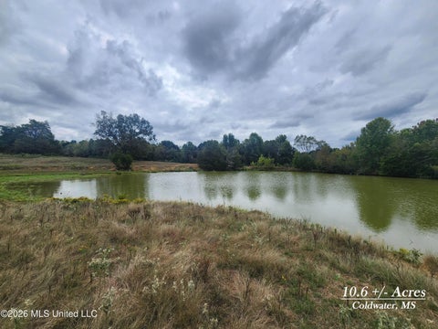 Vacant Land For Sale - 10.61 Old Memphis Oxford Road<br/> Tate County, Coldwater, MS 38618