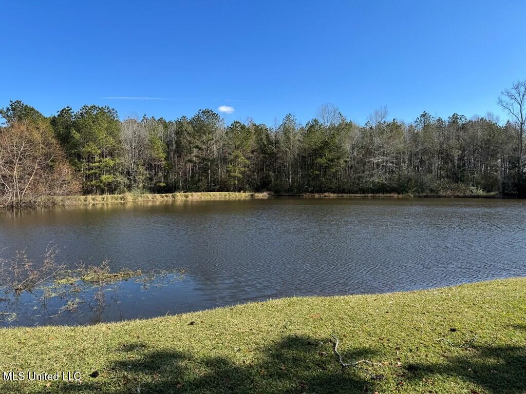 703 Mallalieu Drive, Brookhaven, Mississippi image 19