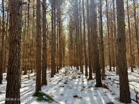 Vacant Land For Sale - Prairie Debutte Road<br/> Bastrop, LA 71220