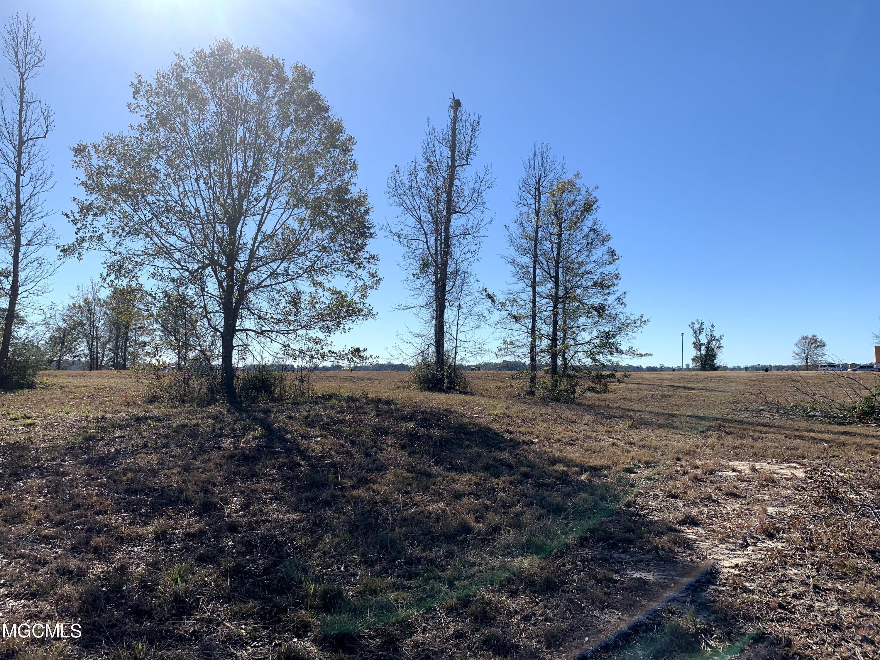 Lot 14 Wetzel Drive, Biloxi, Mississippi image 1