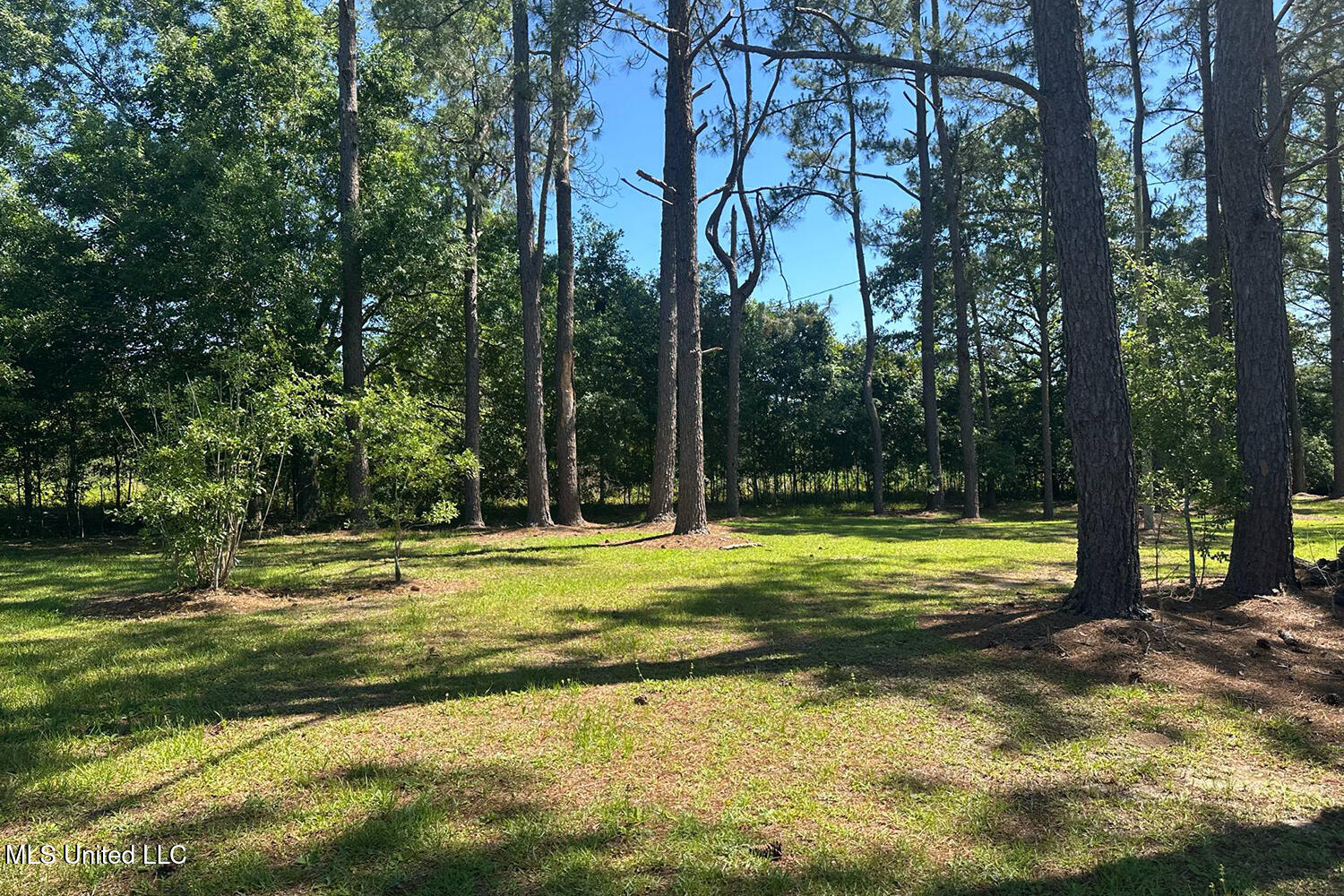1212 Highway 612, Lucedale, Mississippi image 44