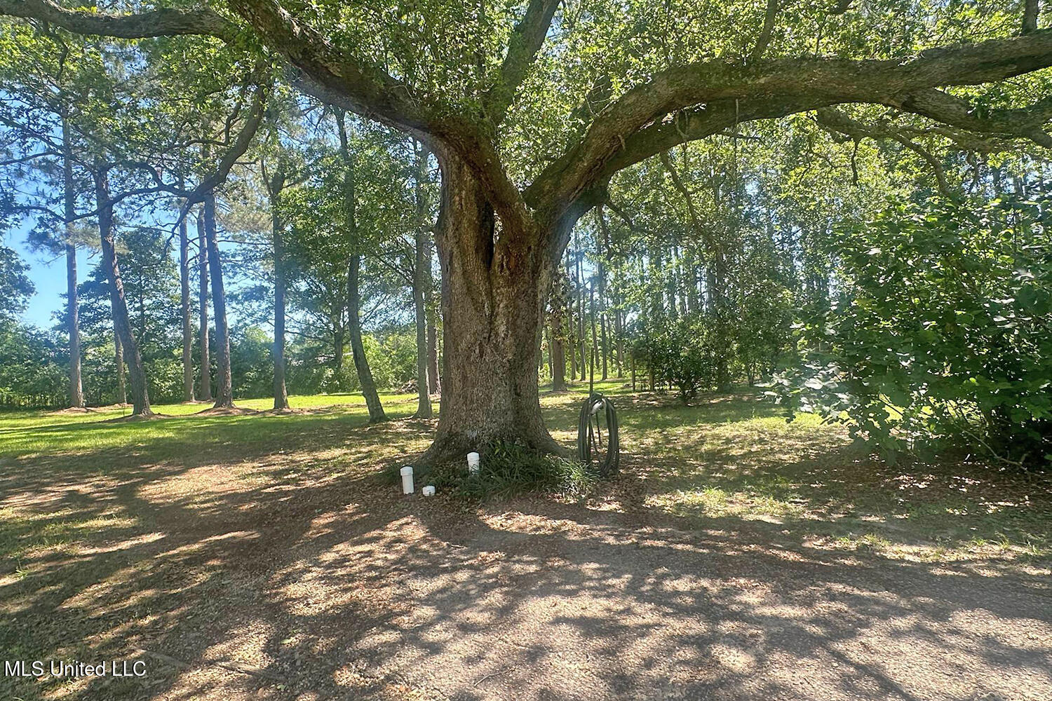 1212 Highway 612, Lucedale, Mississippi image 45