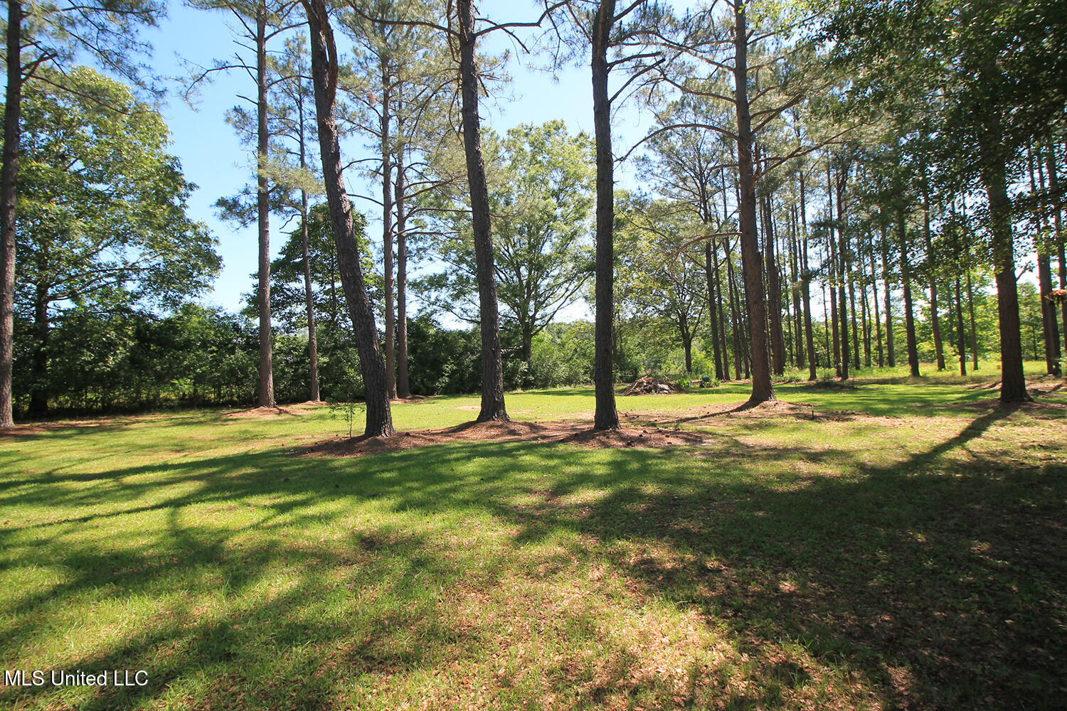 1212 Highway 612, Lucedale, Mississippi image 46