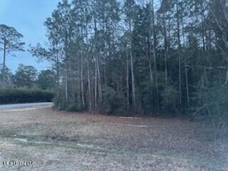 Vacant Land For Sale - Rouses Marina Road<br/> Vancleave, MS 39565