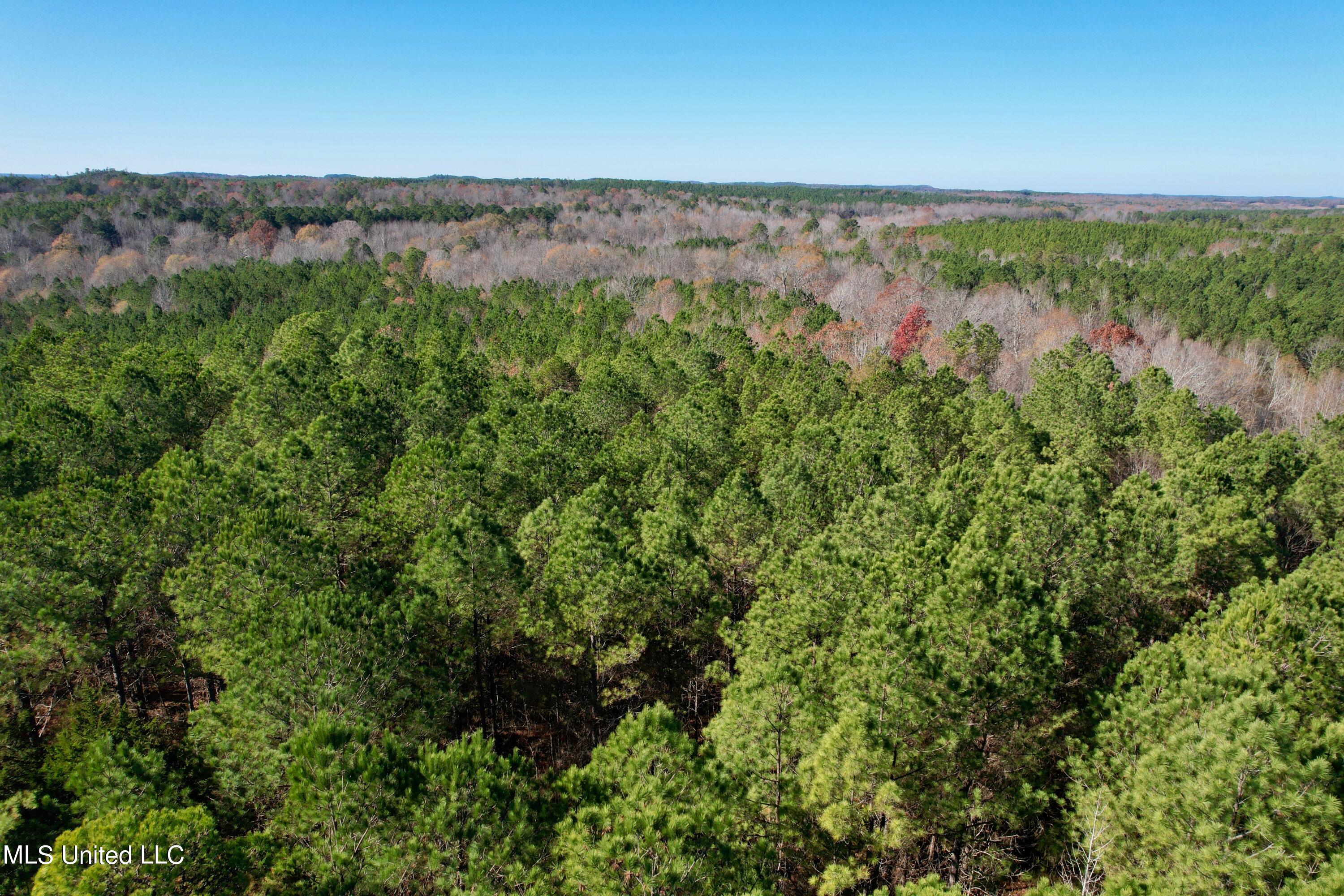 Lake Road, Duck Hill, Mississippi image 29