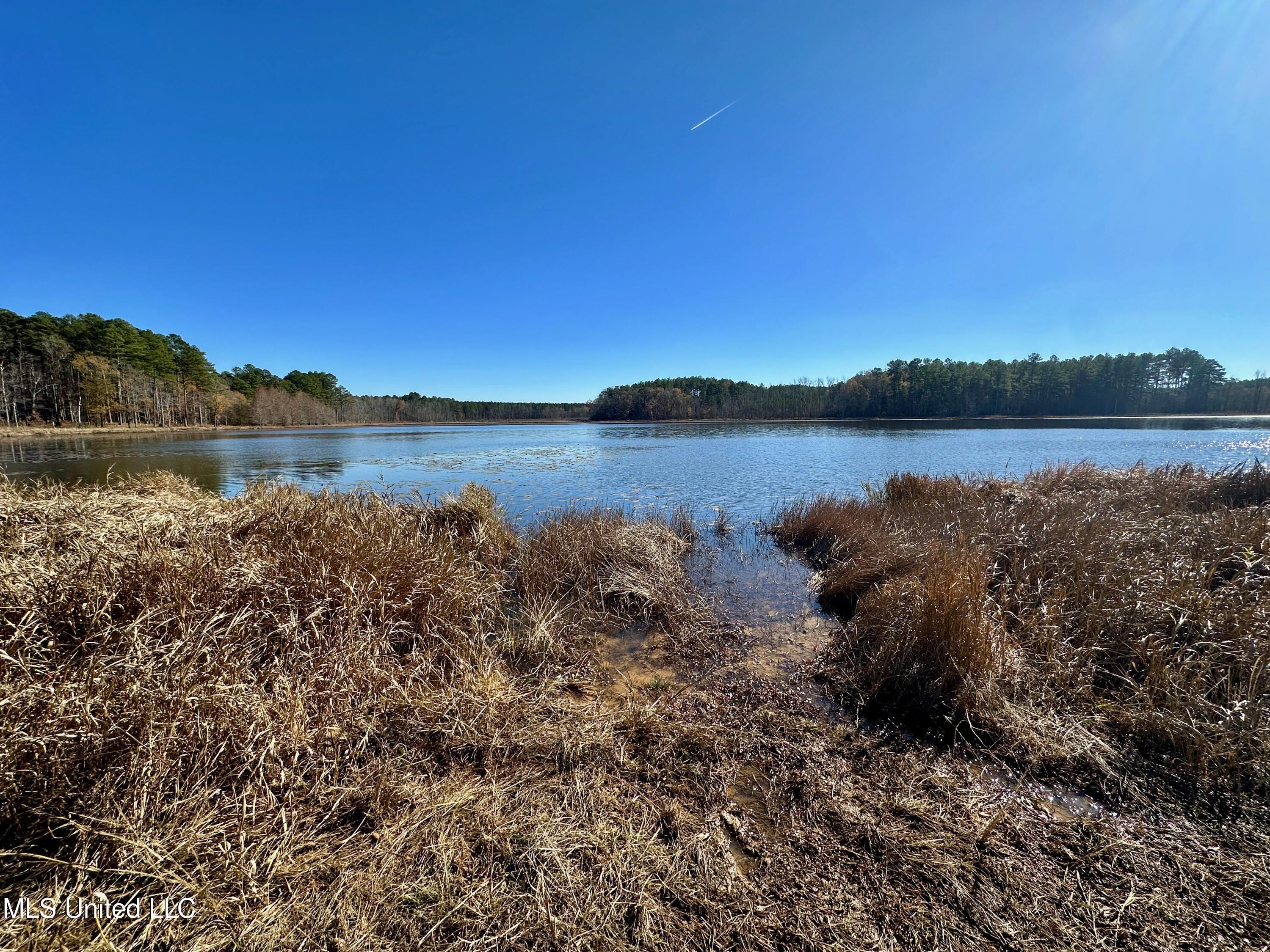 Lake Road, Duck Hill, Mississippi image 2