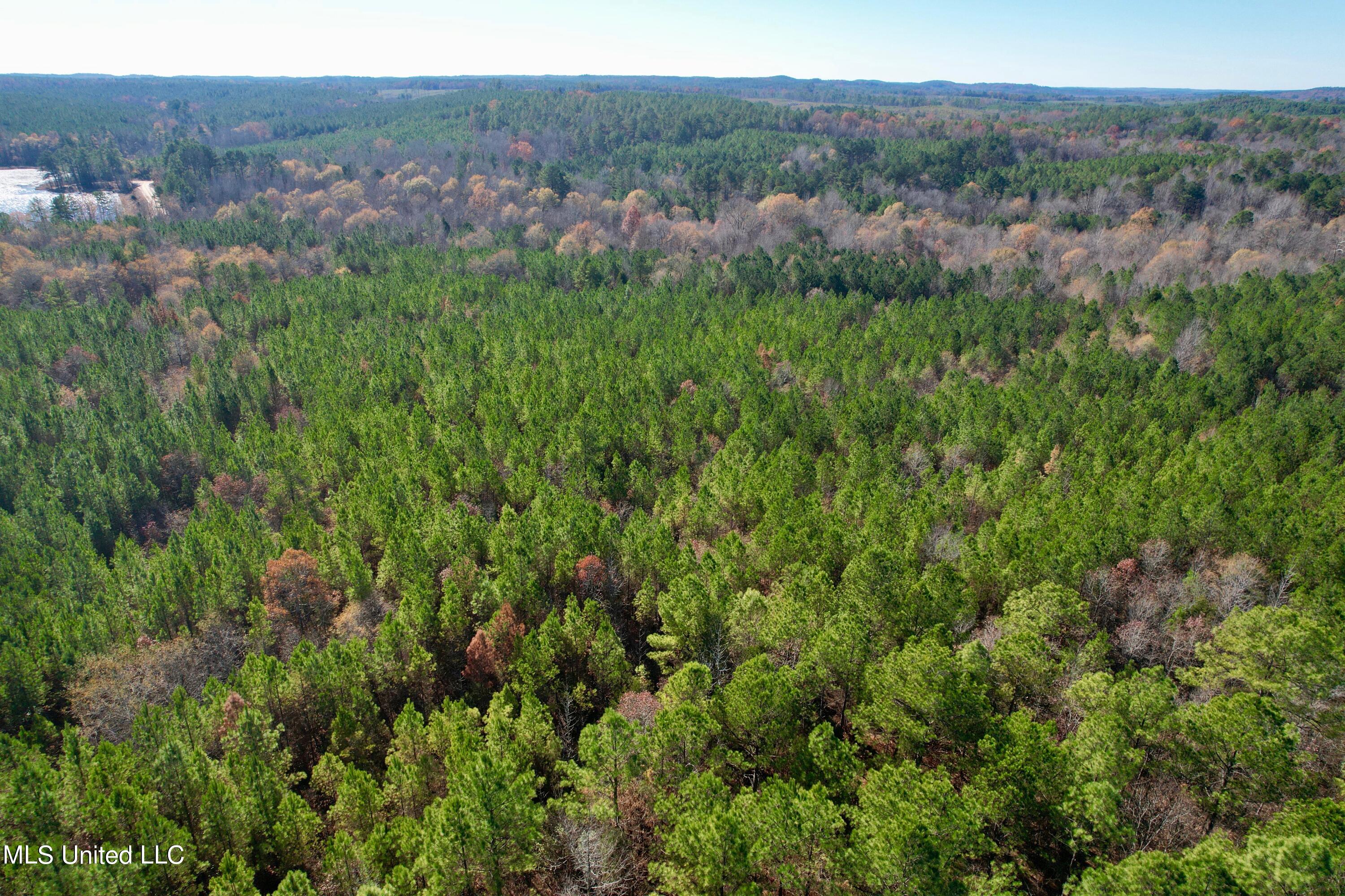 Lake Road, Duck Hill, Mississippi image 30