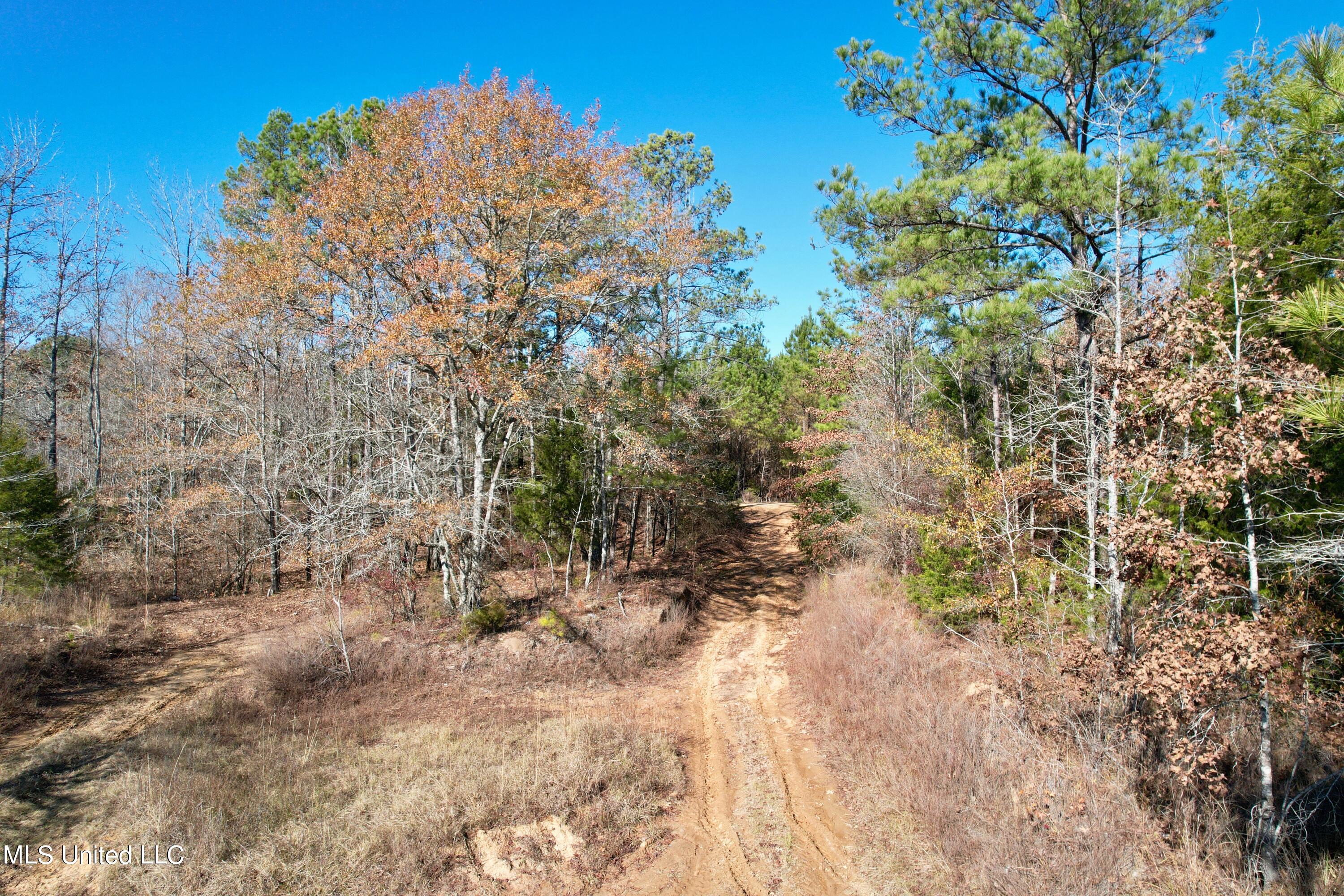 Lake Road, Duck Hill, Mississippi image 14