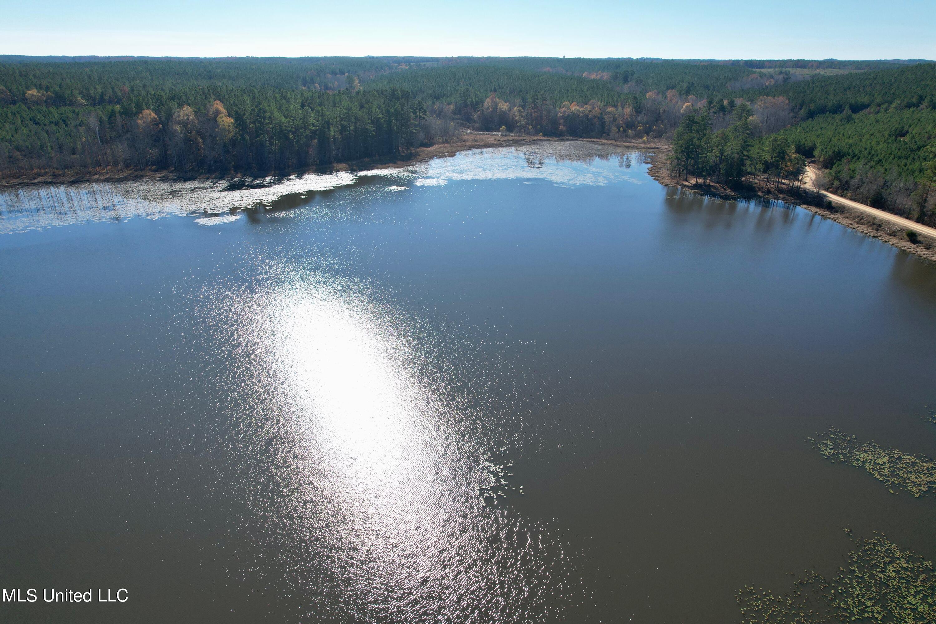 Lake Road, Duck Hill, Mississippi image 11