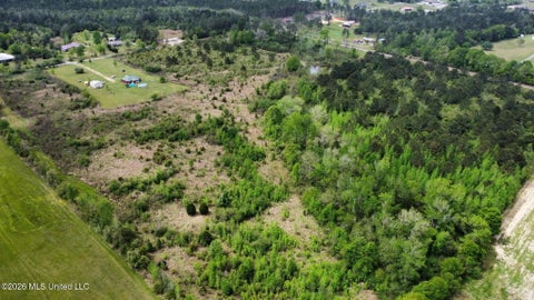Vacant Land For Sale - 6201 Wesley Powell Road<br/> Lucedale, MS 39452