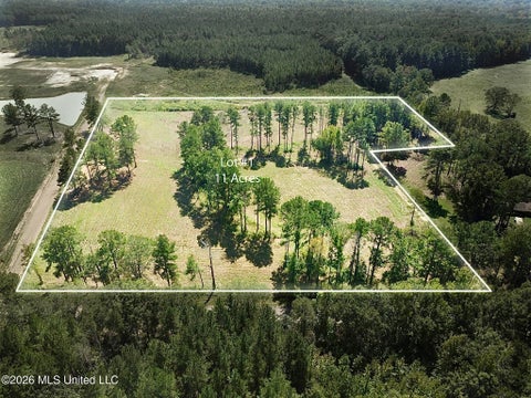 Vacant Land For Sale - LOT 1 Sulphur Springs Road<br/> Madison County, Canton, MS 39046
