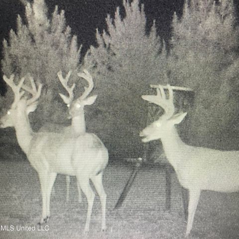 Vacant Land For Sale - 448 Attala County Road 4005 Road<br/> Attala County, Goodman, MS 39079