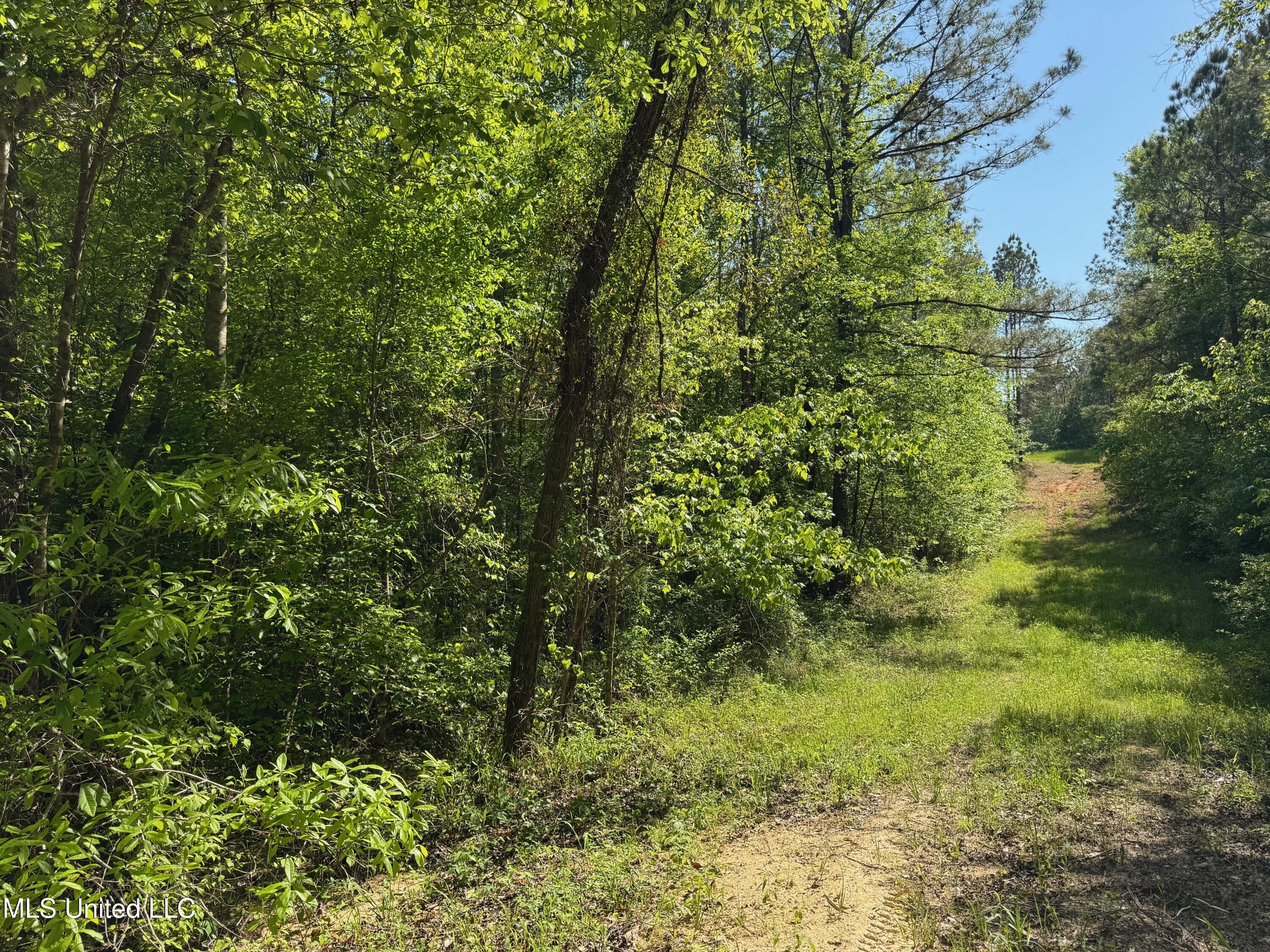 0001 Hwy 51, West, Mississippi image 1