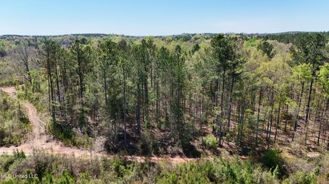 Vacant Land For Sale - Hugh Hudnall<br/> Decatur, MS 39327