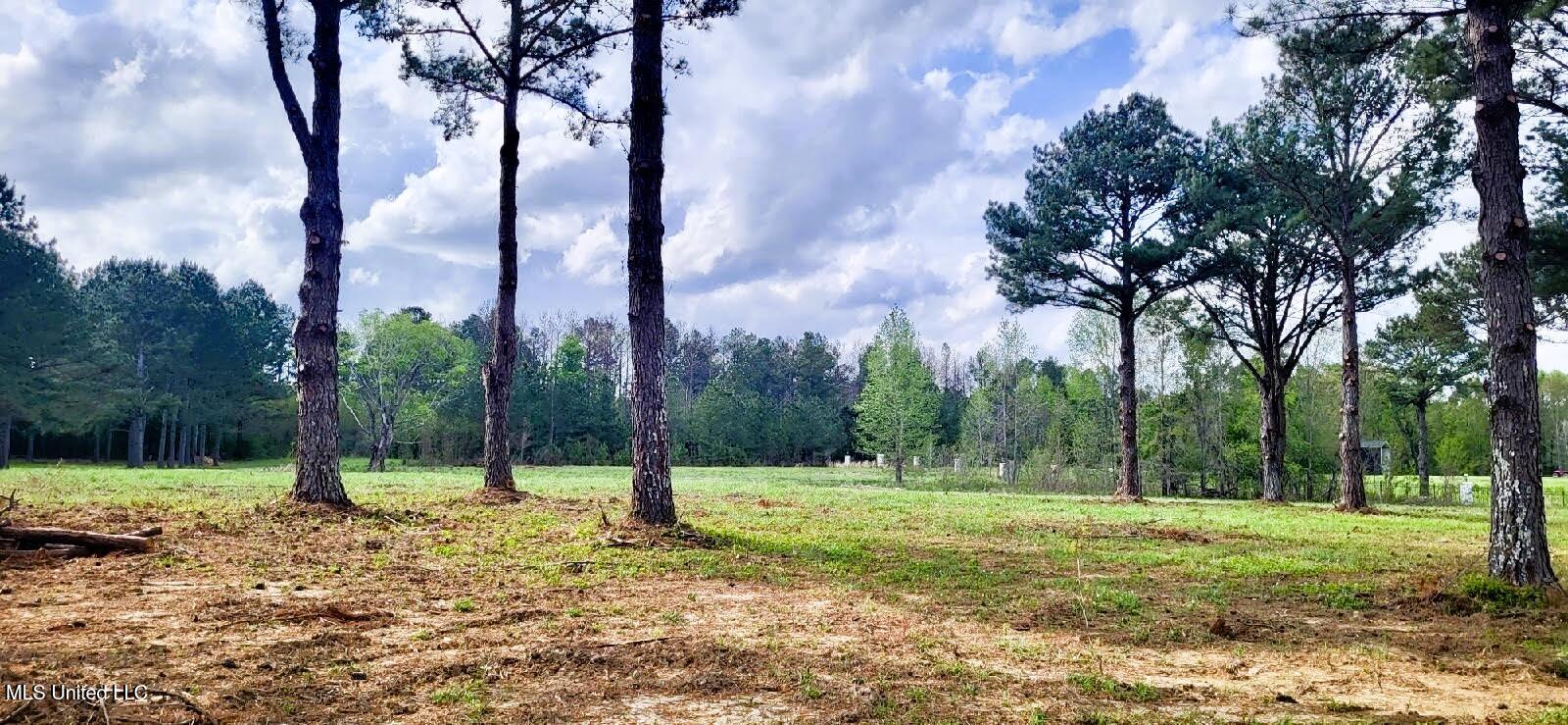 Bozeman Road, Madison, Mississippi image 7