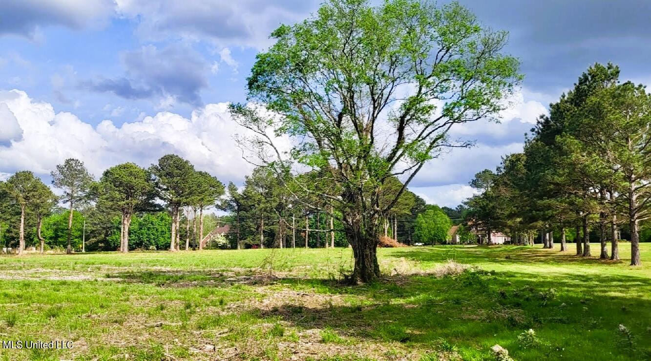 Bozeman Road, Madison, Mississippi image 6