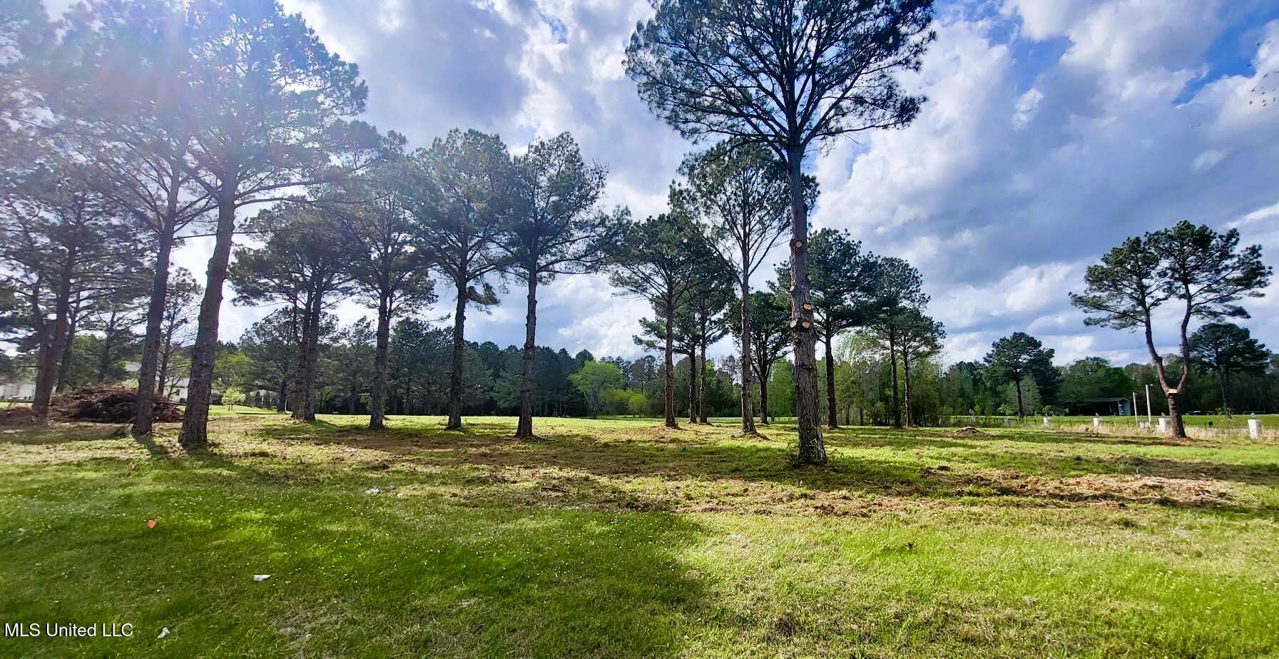Bozeman Road, Madison, Mississippi image 8