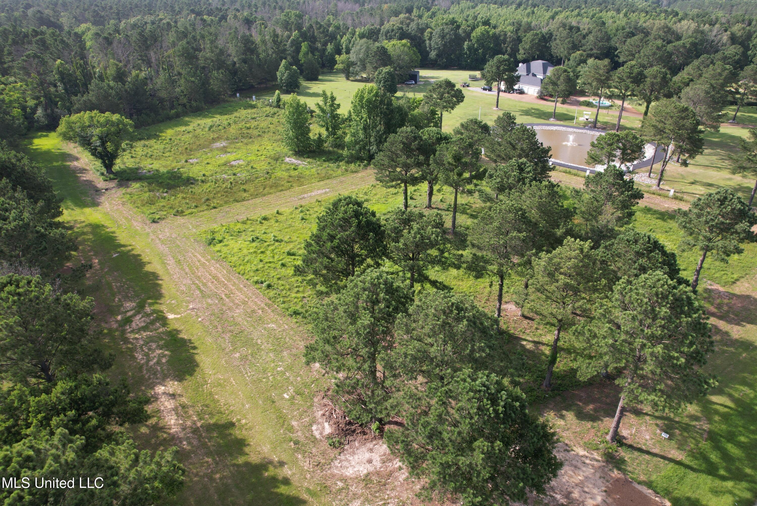 Bozeman Road, Madison, Mississippi image 4