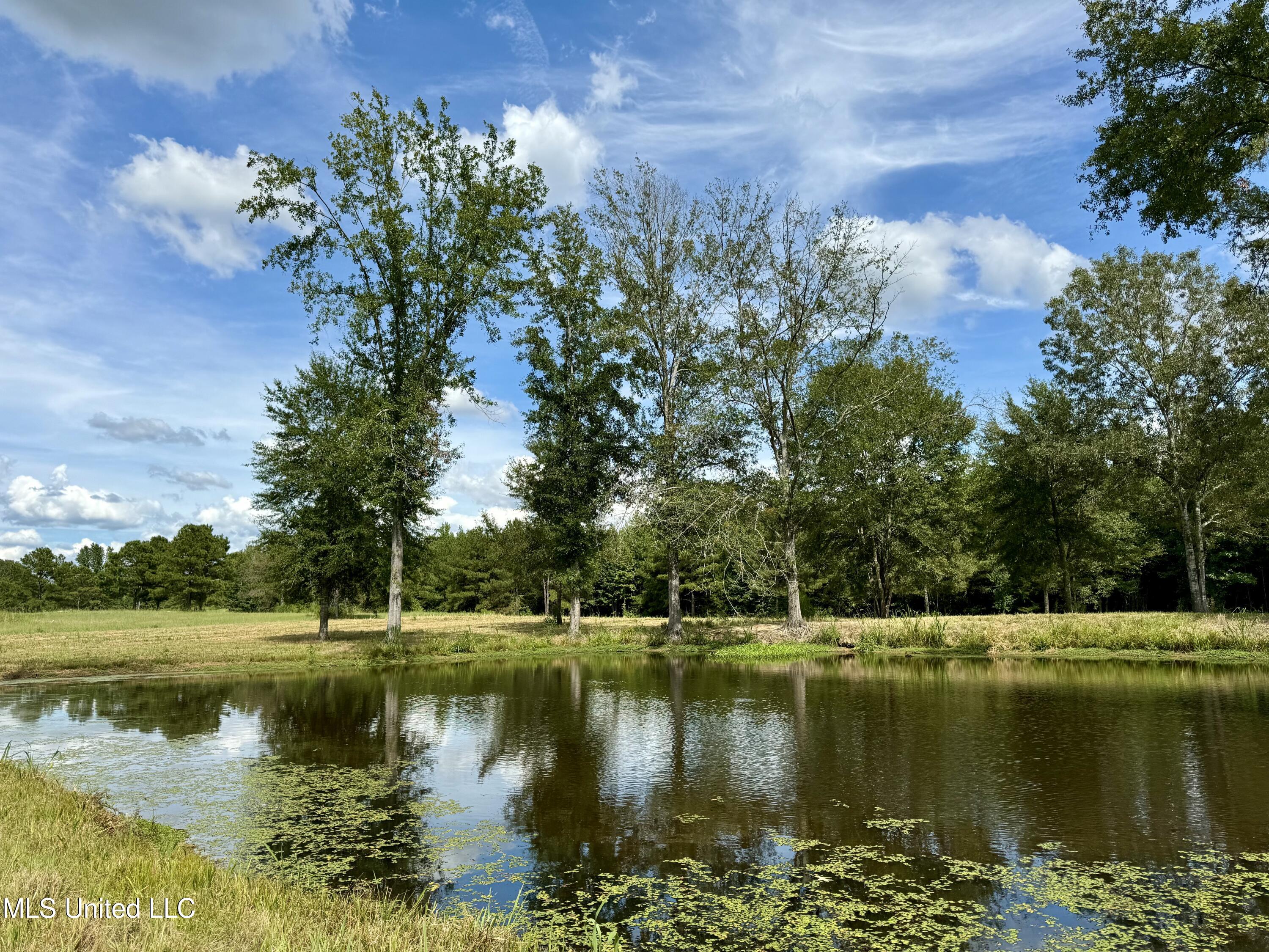 651 Petrified Forest Road, Flora, Mississippi image 9