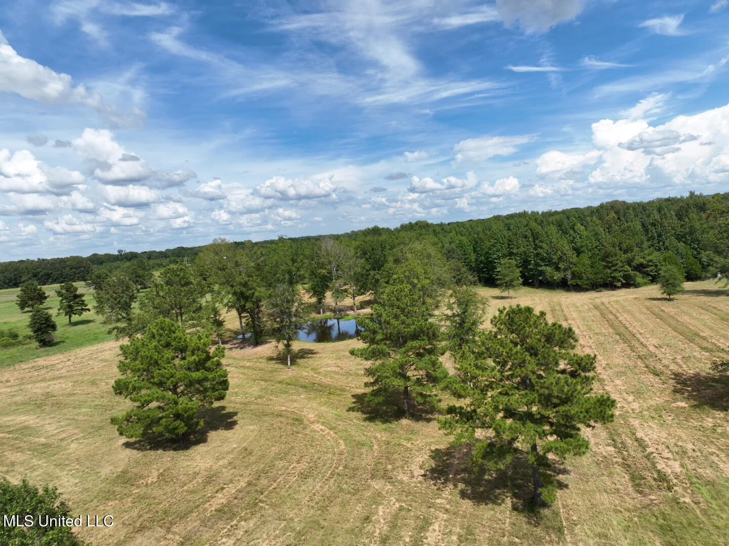 651 Petrified Forest Road, Flora, Mississippi image 5