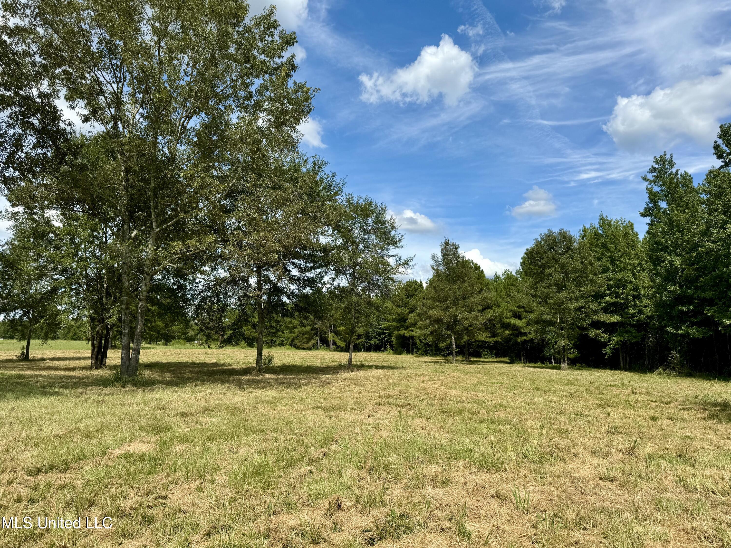 651 Petrified Forest Road, Flora, Mississippi image 17