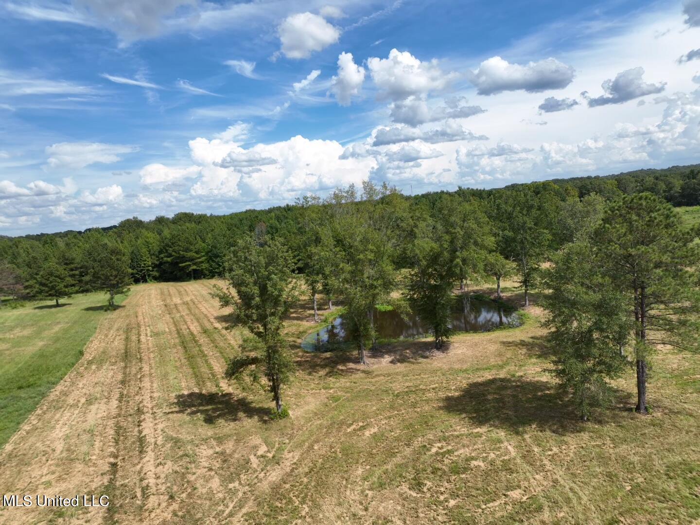 651 Petrified Forest Road, Flora, Mississippi image 21