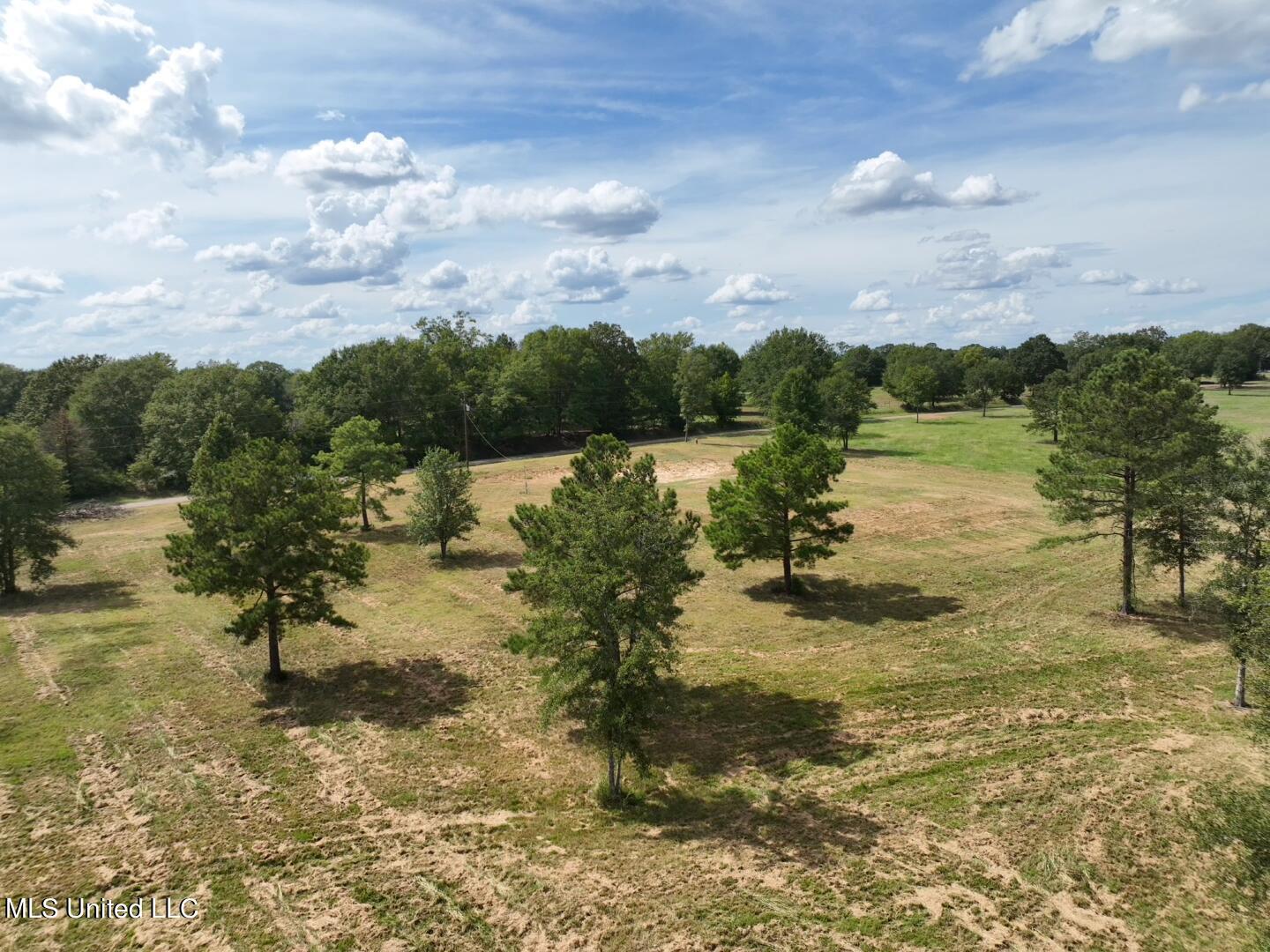 651 Petrified Forest Road, Flora, Mississippi image 18