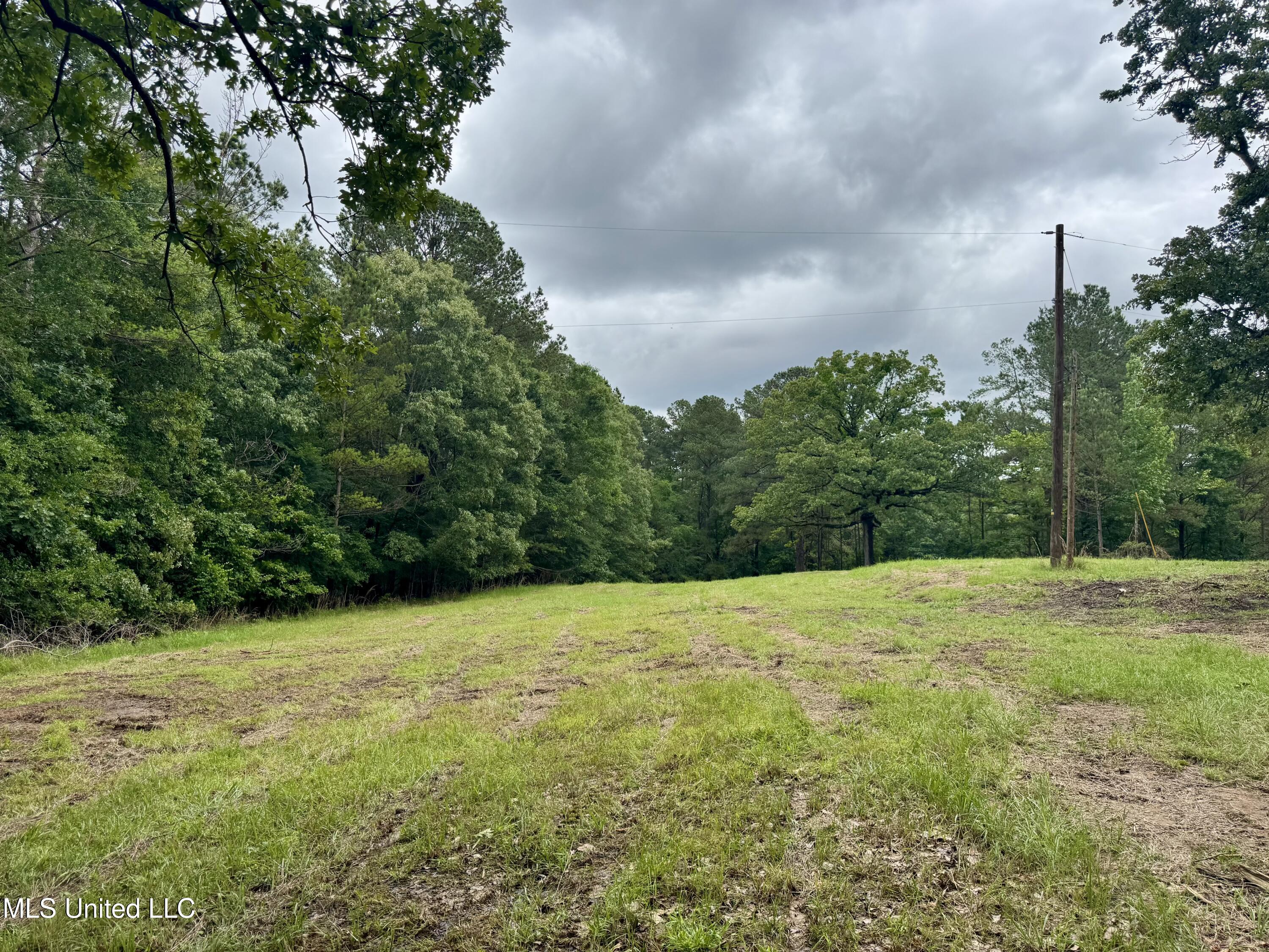 493 Gus Green Road, Flora, Mississippi image 12