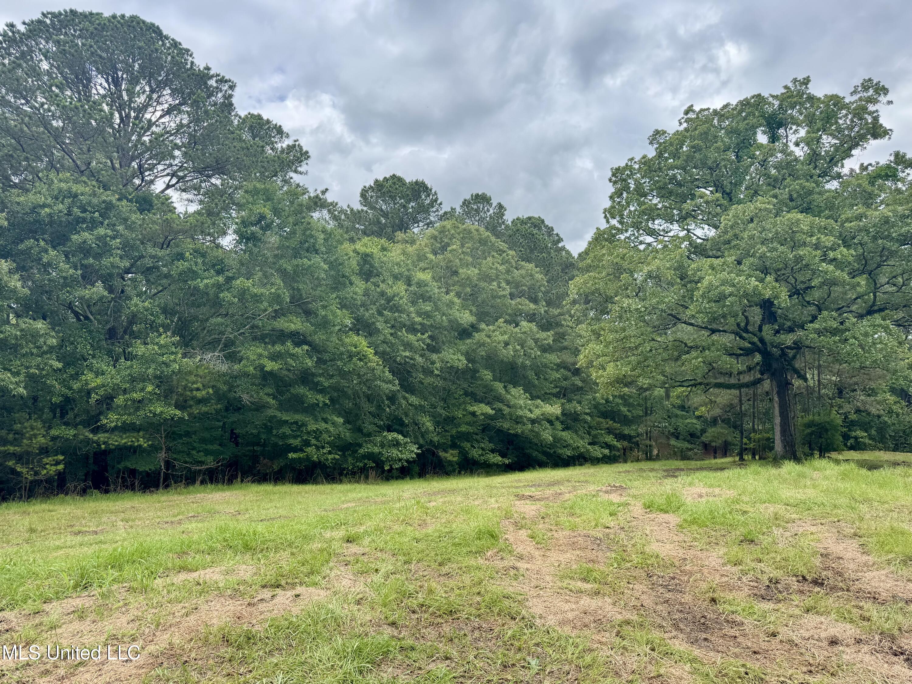 493 Gus Green Road, Flora, Mississippi image 6